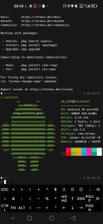 Screenshot_20250401_004500_com.termux.jpg