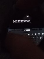 1000026336.jpg