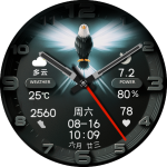 鹰光绿1亮屏预览图.png