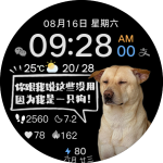 market-preview.png