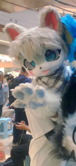 QQ20250508-132459.png