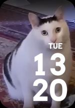 wf_preview.png