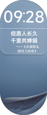表盘截图_样式6_配色1.png