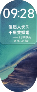 表盘截图_样式4_配色1.png