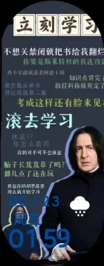wf_preview-5.webp