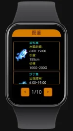 7.webp