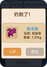 钓鱼收获弹窗.webp