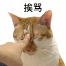 觞某人