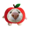 方昊燃