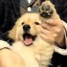 边木木