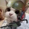 鼠牢底