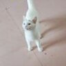 李翰沂