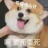 三宝殿上