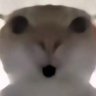 HH_MI