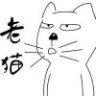 老猫上房