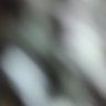 满棠碎