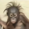小Gga