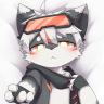 小黑猫与小白猫