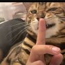 脆皮虾