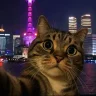 莫聽穿林打葉聲