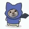木头orT