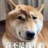 葬尸湖