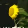 盘子碗
