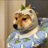 没什么大不了啊