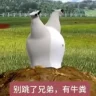 不和fools玩