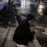 难释怀