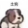 丛林土狗