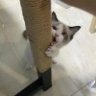 屠龙勇士终成恶龙