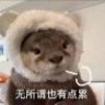 惊蛰1啊