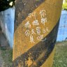 猫堡是个人物