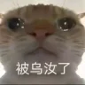卡卡ja