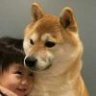 228424