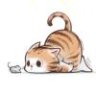 寻猫人
