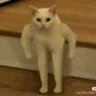 诚信大哥