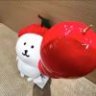 雪糕盒
