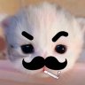 piguxia