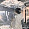 阳春秋蝉