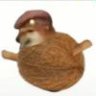 DoGE114514_7813
