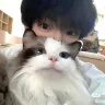 可不是啥