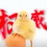 好宝那你呢