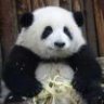亮仔努力变优秀