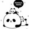 Duoduo12