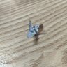 文牧野理