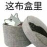 黑虎阿福11