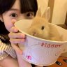 贺紫嫣