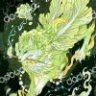 金山有鑫